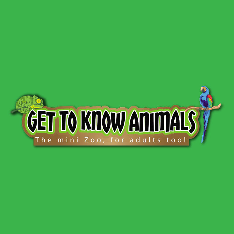 Get To Know Animals - Featured Image